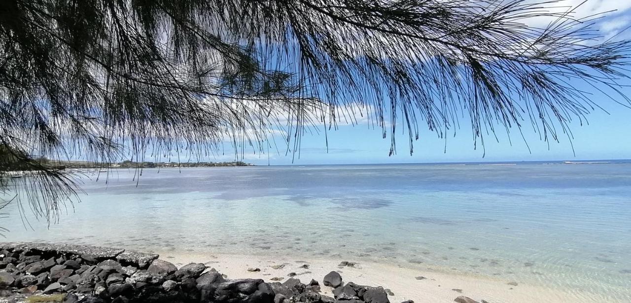 البيون La Maison De La Plage - Guest House المظهر الخارجي الصورة
